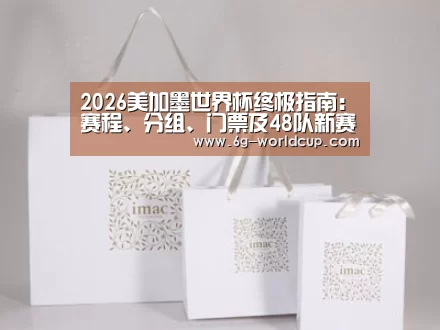 项目名称十一