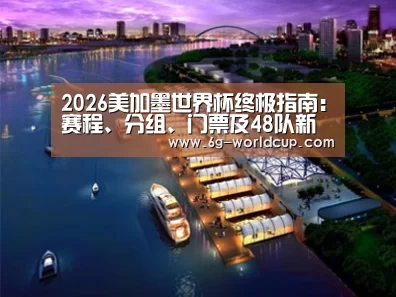 案例展示八