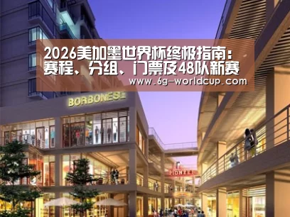 案例展示一