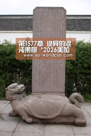 世界杯2026官网