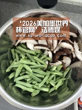 2026美加墨世界杯直播时间